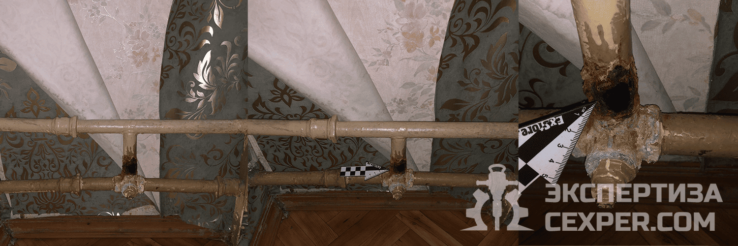 Cexp в тело статей 1500х500 копия1.png
