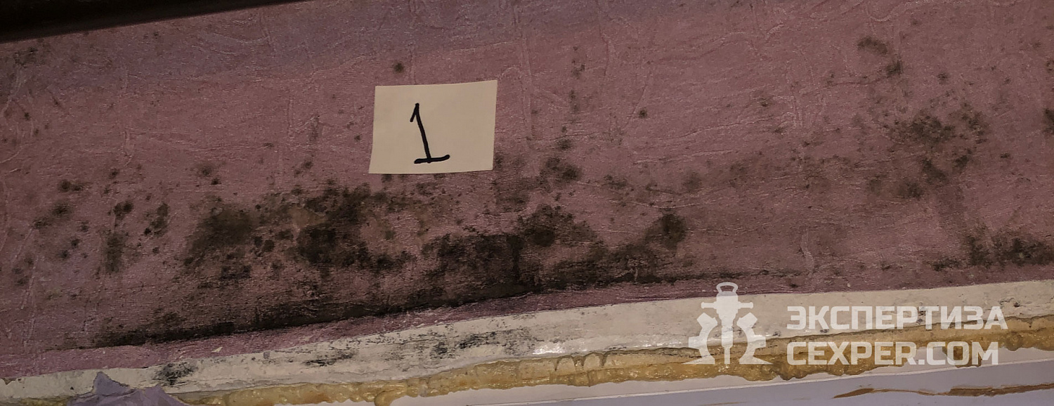 lqcejn7qsppvmeoojk1o3lpnammzmhrg.jpg